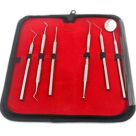 PRECISE CANADA: Dental Dentist Pick Tool KIT 6 Piece UP to 8 Tools - Dentist, Dentistry & Dental KIT