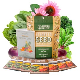Fall Garden Heirloom Vegetable Seeds - ~3,800+ Seeds, 7 Varieties of Seeds to Sow in Fall Months – Turnip, Beet, Chard, Echinacea, Spinach, Brussel Sprouts, and Kale Heirloom Seeds for Planting