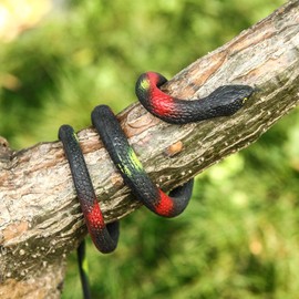 ZJMZZM Realistic Rubber Snakes - 4 Pieces 29 Inch Fake Rubber Snake to Keep Birds Away, Rubber Realistic Snake for Garden Props to Scare Birds, Squirrels, Mice