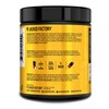 Jacked Factory Nitrosurge Build Pre Workout with Creatine for Muscle