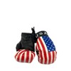 Red Hat Ent Hanging Car Mirror Mini Boxing Gloves (USA)