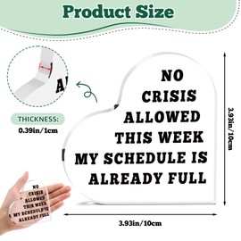 Social Worker Office Decor Funny Acrylic Plaque for Colleague Friends Boss Office Desk Decor for Employees Boss Lady Desk Accessories Christmas Birthday Present for Team Manager Friends