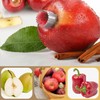Apple Corer, Apple Cutter, Robust Stainless Steel Apple Core Cutter,