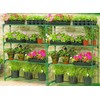 Panana 4 Tier Garden Greenhouse Steel Staging Shelving Plant Stand