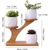 White Owl Ceramic Succulent Pots, 3Pcs Modern Decorative Flower Planters