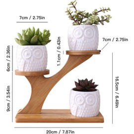 White Owl Ceramic Succulent Pots, 3Pcs Modern Decorative Flower Planters w/3 Tier Bamboo Saucers Stand Holder &Drainage, Home Office Desk Garden Mini Cactus & Flower Pots
