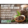 Puregro Ground Cloves 100g | PACK OF 1| Clavos de