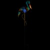 Solar Lighted Pelican Outdoor Garden Stake - 37.5"