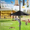 iBorn Squirrel Baffle for Bird Feeder Pole, 19.5” Oversized Squirrel
