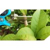Jütze Bypass Pruning Shears, Flower Cutting Scissors, Gardening Shears, For