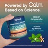 Max Calm Relaxing Drink Mix | Raspberry-Lemonade Flavor | Magnesium