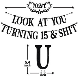 Black Glitter Look at You Turning 15 & Banner, Happy 15th Birthday/Level 15 Unlocked/Cheers to 15 Years, Funny 15th Birthday Party Decorations Supplies