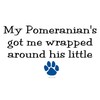 CafePress Wrapped Around His Paw (Pomeranian) Sticker (Recta Rectangle Bumper
