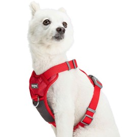 Blueberry Pet Soft & Comfy Reflective Mesh Padded No Pull Dog Harness Vest in Red, Small, Adjustable Harnesses for Dogs