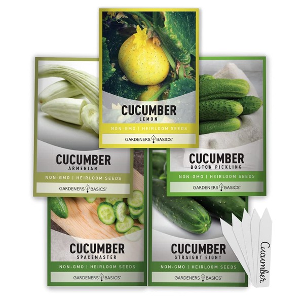 Cucumber Seeds for Planting Outdoors 5 Variety Pack Armenian, Boston