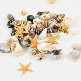 Tiny Mixed Ocean Beach Spiral Seashells &10 Small Starfish - for Fish Tank and Vase Filler, Beach Theme Party, Wedding Decor - DIY Craft Supplies (5-30mm)