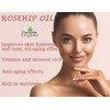 Rosehip Oil - Pure Natural Seed Oil Cold Pressed 16