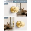 SORWDUERM 2 Pack Gold Door Knob Passage Door Knobs Brushed