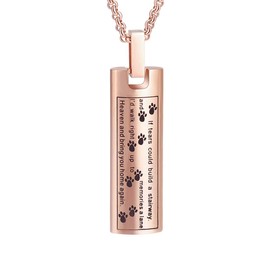 Cremation Jewellery Urn Necklace for Ashes, Pet Paw Print Memorial Pendant for Dog Cat Ash Keepsake Locket for Men for Women, Stainless Steel, No Gemstone