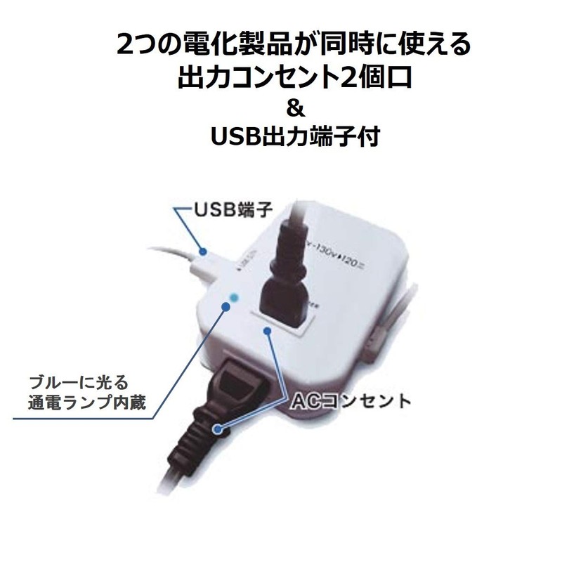 カシムラ 海外用薄型2口変圧器 USB 110-130V/120VA NTI-113