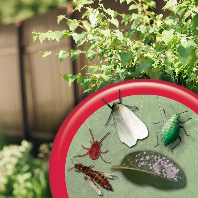 Bonide Insecticidal Soap, 32 oz Ready-to-Use Spray Multi-Purpose Insect Control