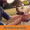 Fido Flex Hip and Joint Care Bones for Dogs, Made