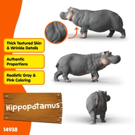 schleich WILD LIFE | Ippopotamo 14938 | figura animale dettagliata e figura da collezione | | regalo per ragazzi e ragazze | decorazione per compleanno | figura dai 3 anni | 13 x 5 x 6 cm