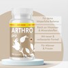 Arthro Pro Capsules | For Your Physical Balance | Easy