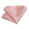 DiBanGu Silk Men Solid Pink Tie and Lapel Pin Set