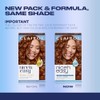 Clairol Nice 'n Easy Permanent Color, 6R/110 Natural Light Auburn