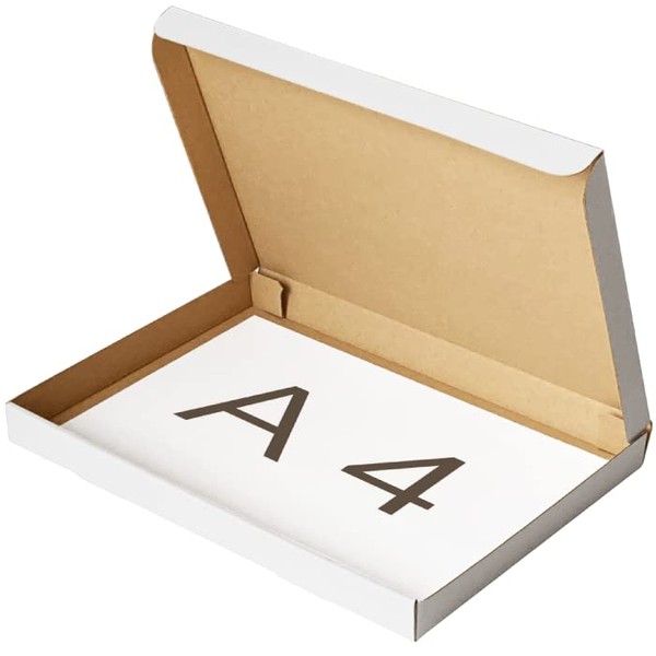 Earth Cardboard, Yu Packet, 1.2 inches (3 cm), A4, Cardboard Box, 40 Pieces, Click Post, White ID0252
