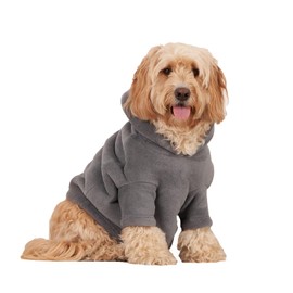 OHS Thermal Fleece Dog Hoodie Sherpa Lined Reversible Soft Cosy Easy Care Pet Clothing – Small, Charcoal Grey