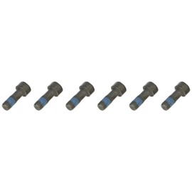LuK 411 0132 10 Screw Set, Flywheel