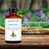 Patchouli Essential Oil | 100% Pure and Natural | 1