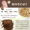 Happiness Bean Tree Domestic Barley Tea 5g×54 Bags (270g) Tea