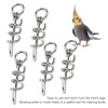 5 Pcs Bird Parrots Foot Ring Buckle Stainless Steel Foot