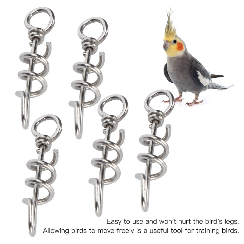 5 Pcs Bird Parrots Foot Ring Buckle Stainless Steel Foot