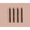 LipScript Cosmetics Natural Organic Lip Liner (Berry CHOCOLATE)
