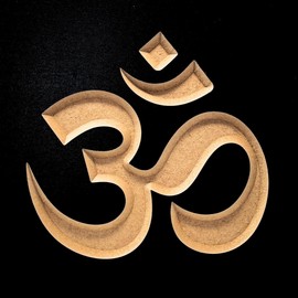 Om Symbol Wall Decor - 8 x 8 inches - Pooja Room Decoration and Indian Decor for Home and Spiritual Space, Carved Om Symbol Black Wood Wall Art | True Stock Studios