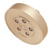 Speakman S-3010-BBZ-E175 1.75GPM Neo Multi-Function Shower Head