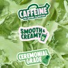 PerfectTed Matcha Protein Powder | 18g Protein Per Serving |