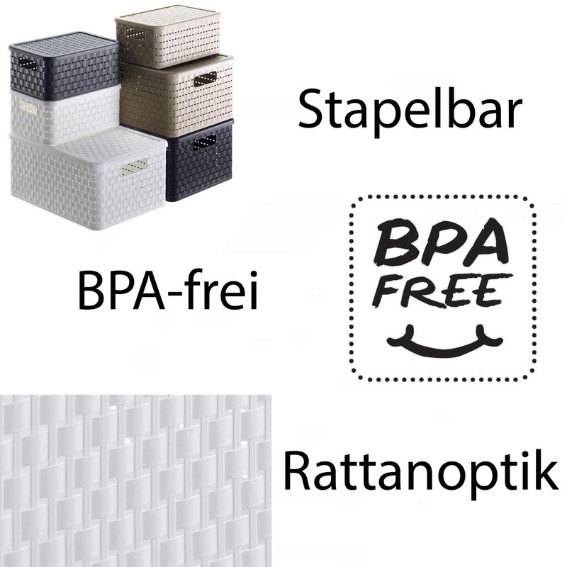 Rotho Country Rattan Effect Storage Box, 18 Litres, Plastic (Polypropylene),