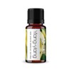 VIDA SCENTS OLEOS Aceite Esencial de Ylang-Ylang 10 ML 100%