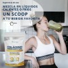 Colageno Hidrolizado Puro 500gr 100 Puro