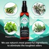 Lumi Outdoors Natural Shoe Deodorizer Spray 3 Pack Bundle -