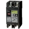 日東工業 漏電 Breakers (協約 Shape) ge52 °C2p20af30