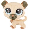 Littlest Pet Shop Wheaton Toy