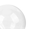 Fish Bowls, Sturdy Small Round Aquarium Made of Plastic, Versatile,