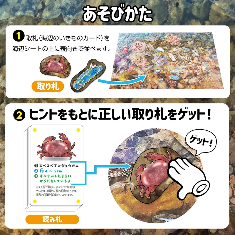 Artec 21657 Karuta Card Game Ikimono Mikke! Karuta Umbe no