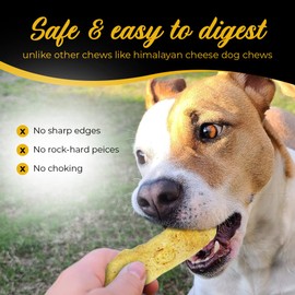 Cheesy100 Cheese Dog Chews | US-Crafted for Puppies & Dogs | Soft, Natural Alternative to Himalayan & Yak Chews | Salt & Rawhide-Free | Tastier (8 Medium Sticks)